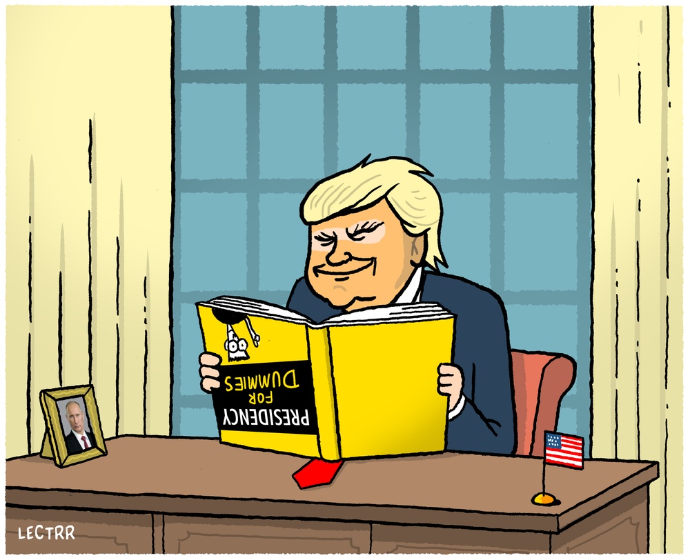 Presidency For Dummies