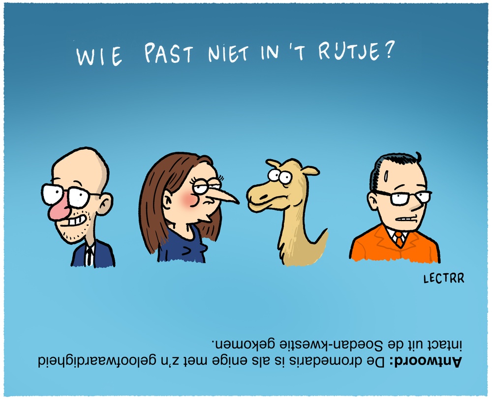 Wie past niet in het rijtje?