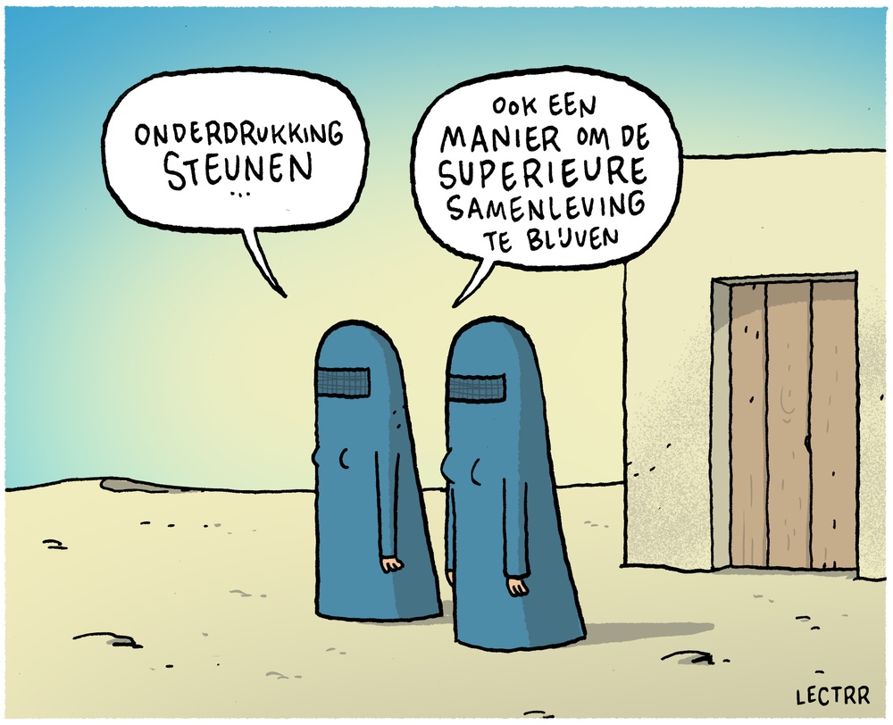 Superieure samenleving