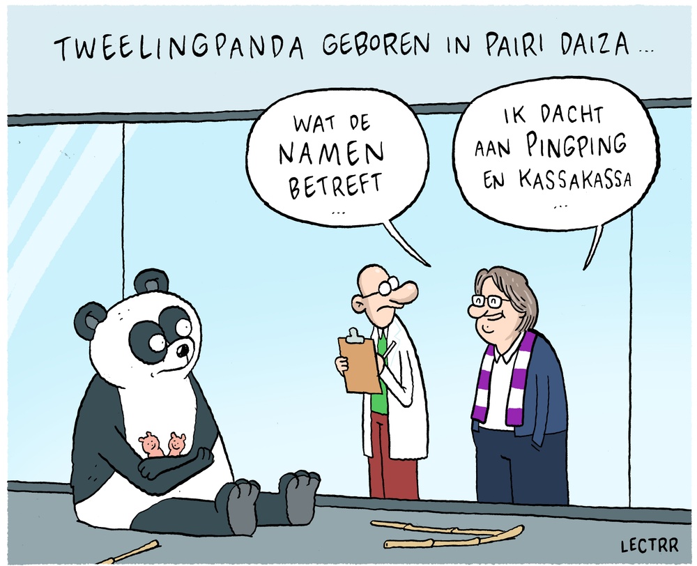 Tweelingpanda