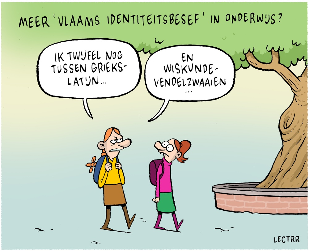Vlaams identiteitsbesef