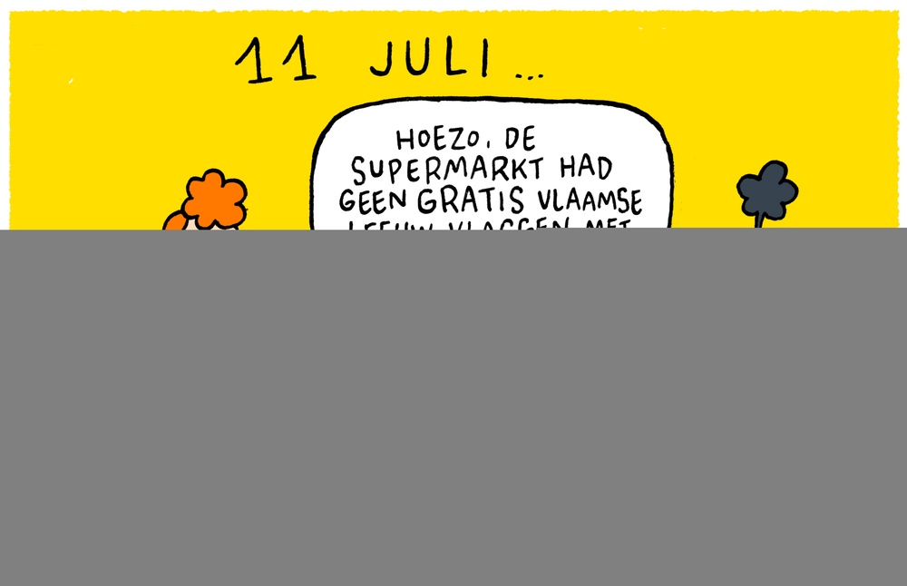 Vlaamse Leeuw Vlaggen