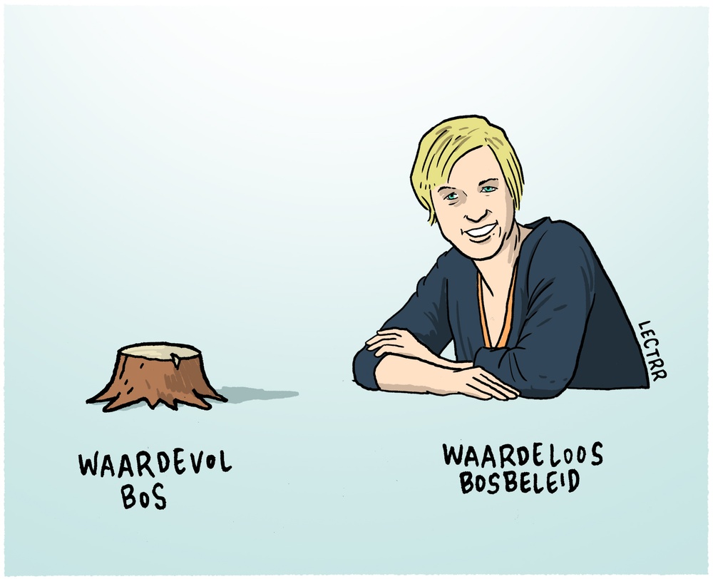 Waardevol bos