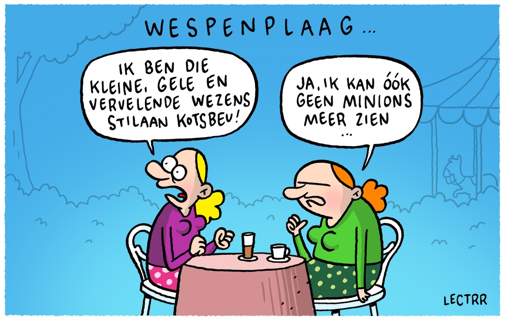 Wespenplaag