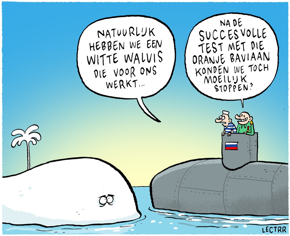 Witte walvis
