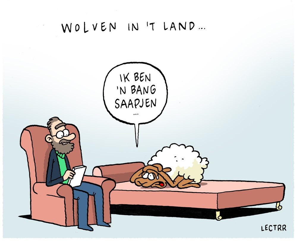 Wolven in België 