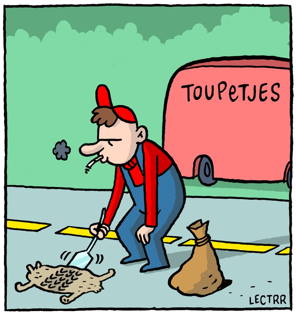 Toupetjes