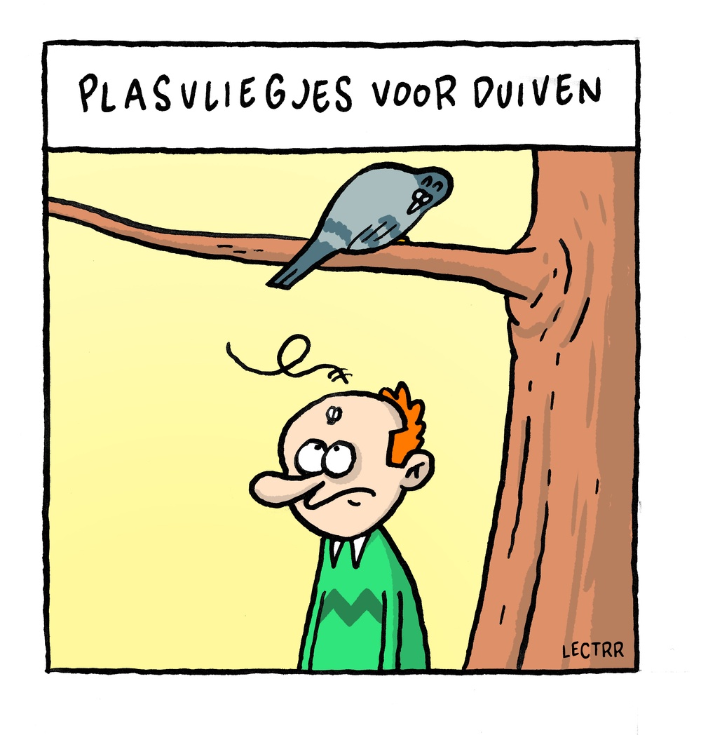 Plasvliegje
