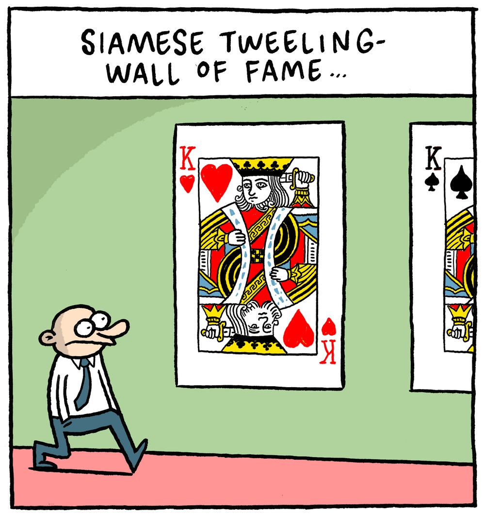 Siamese Tweeling