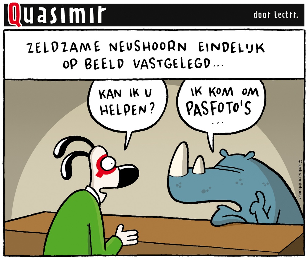 Neushoorn