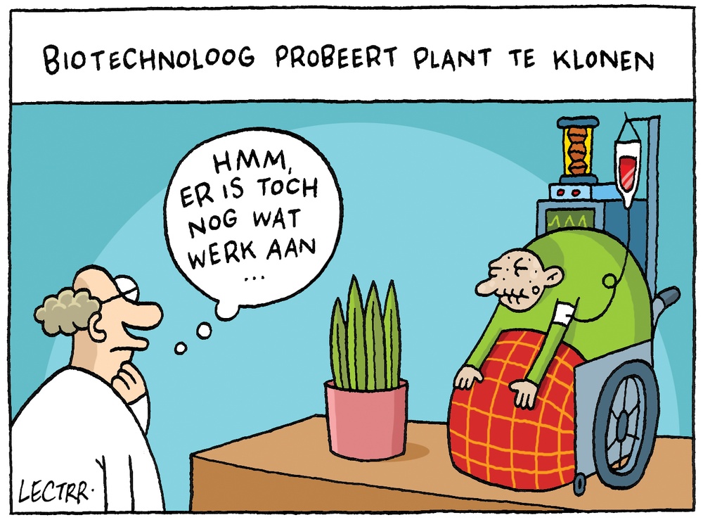 Planten Klonen