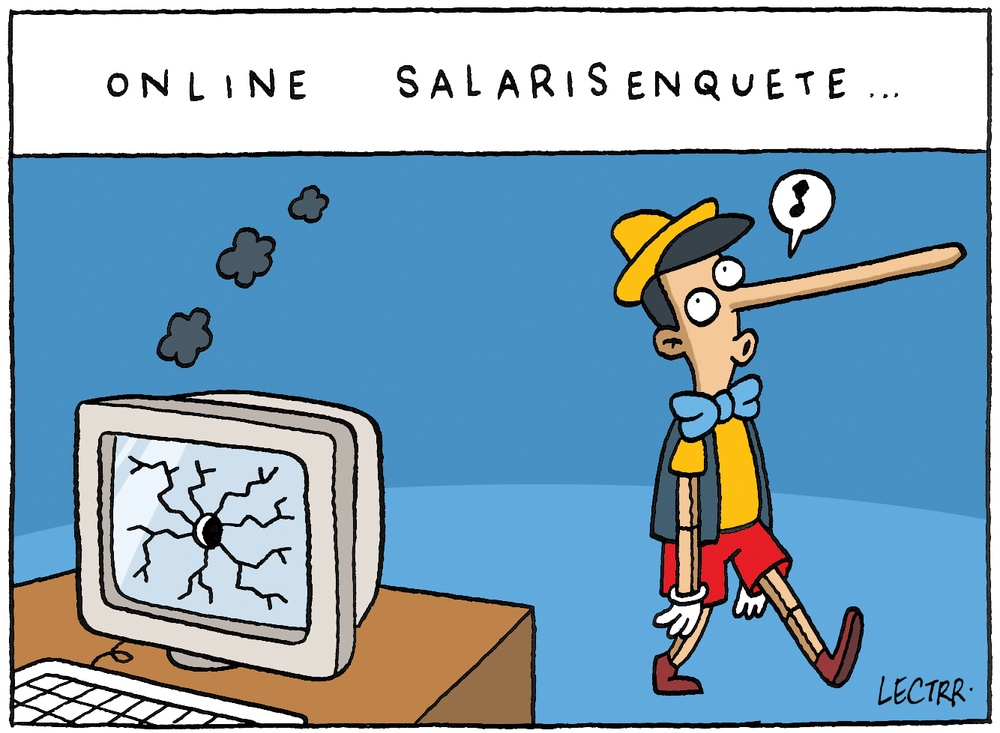 Salarisenquête