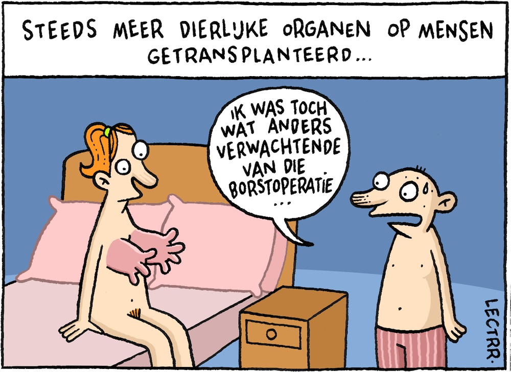 Borsttransplantatie