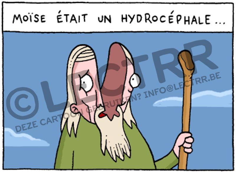Hydrocéphale