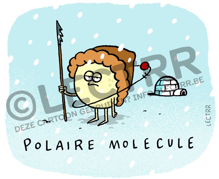 Polaire molecule