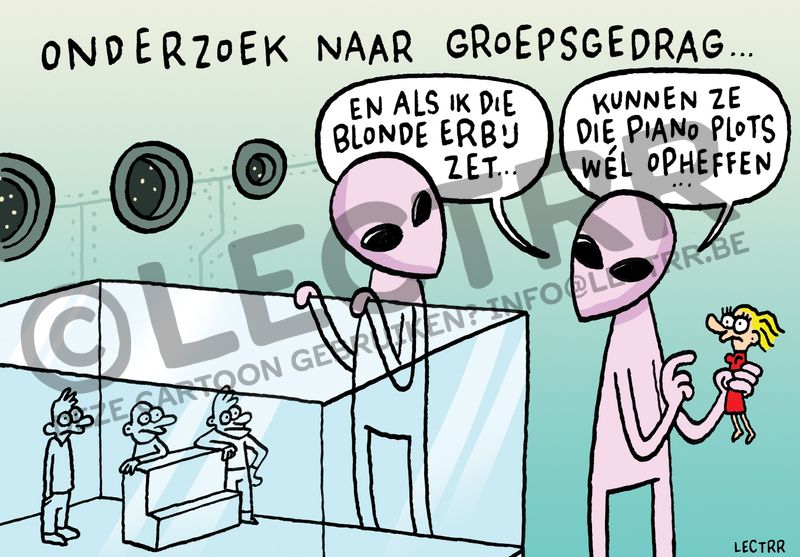 Groepsgedrag