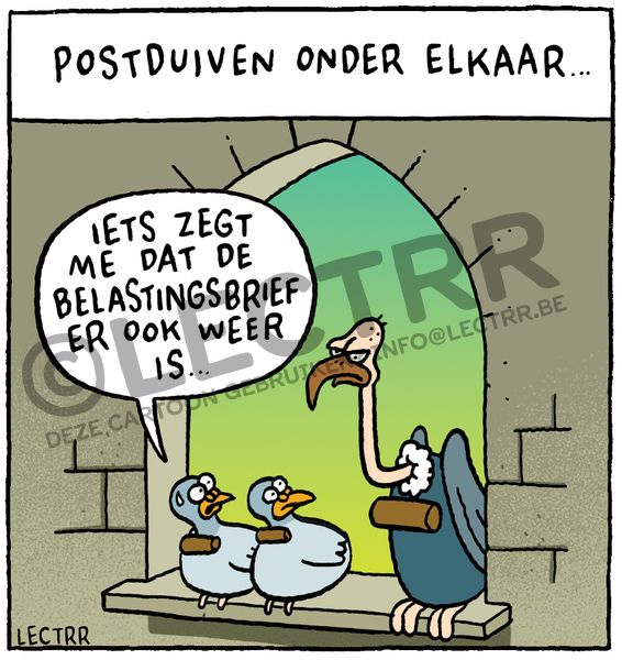 Postduiven onder elkaar