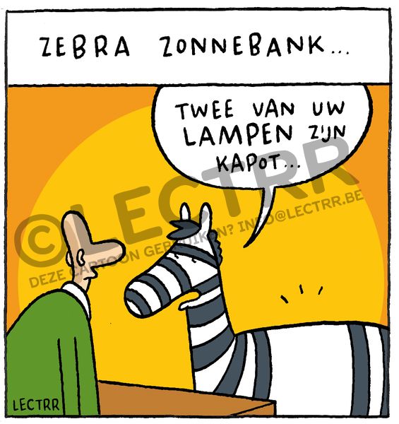 Zebra