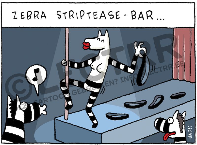 Zebra striptease
