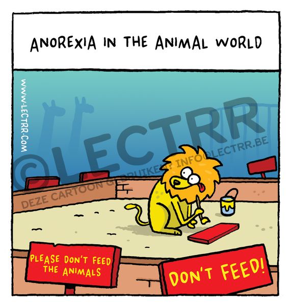 Animal world