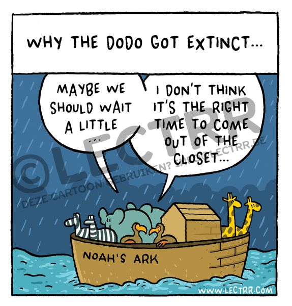 Dodo