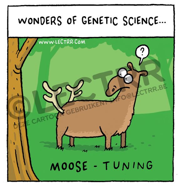 Moose-tuning