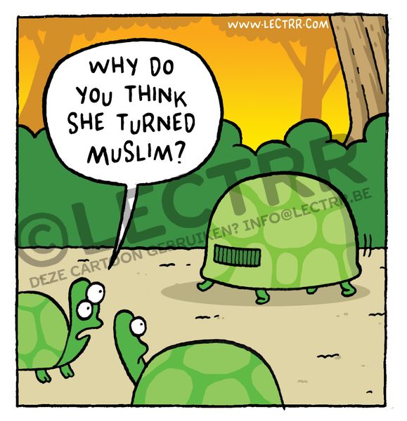 Muslim turtle