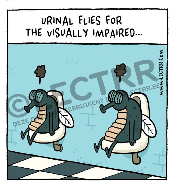 Urinal flies