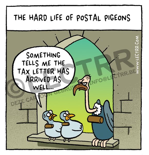 Postal pigeons