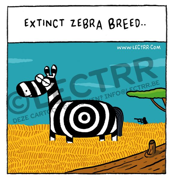 Zebra breed