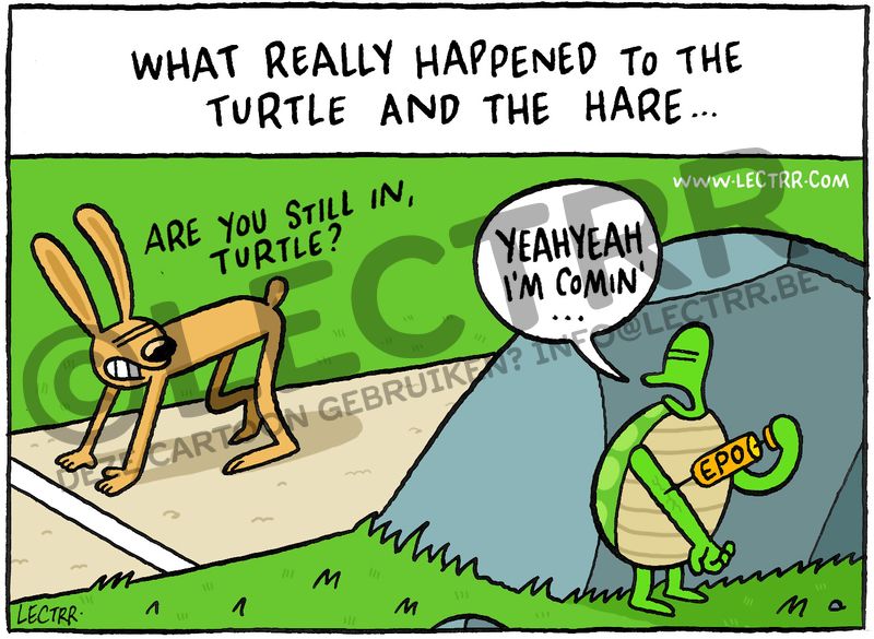 Turtle and hare