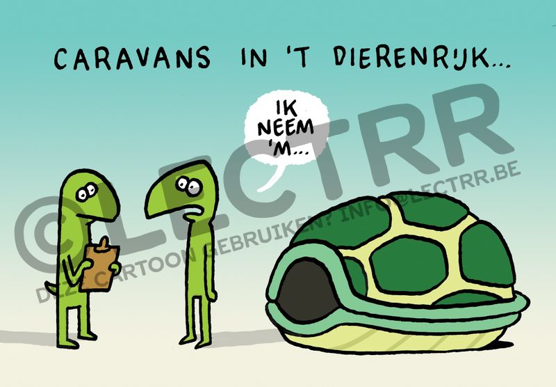 Caravan schildpad