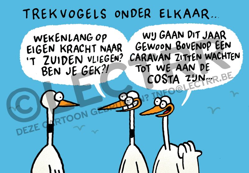 Trekvogels onder elkaar