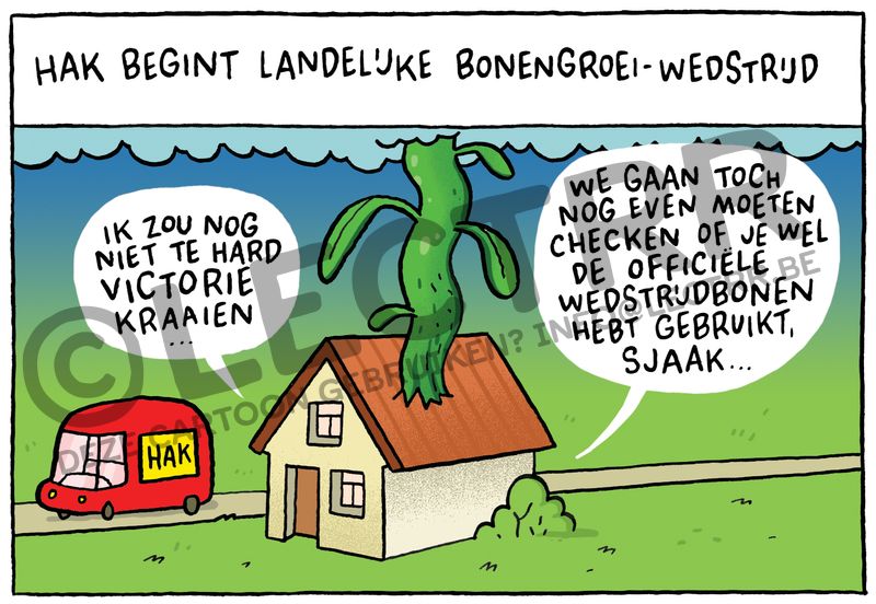 Bonenwedstrijd