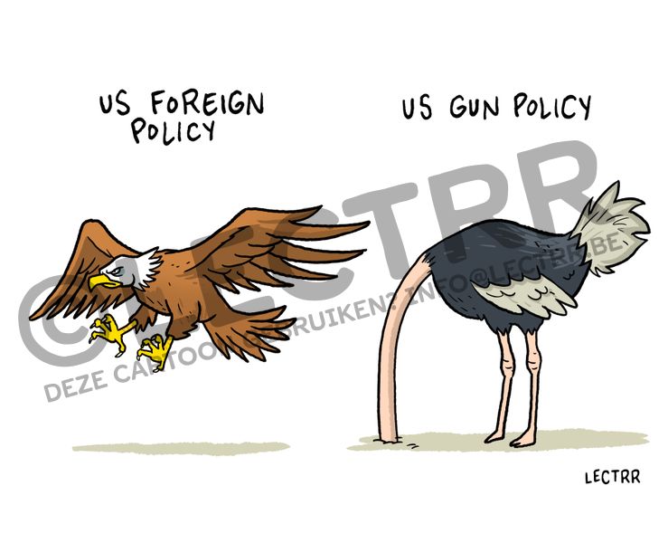 US gun policy