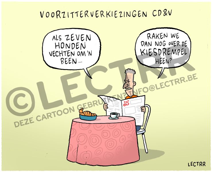 Voorzittersverkiezingen CD&V