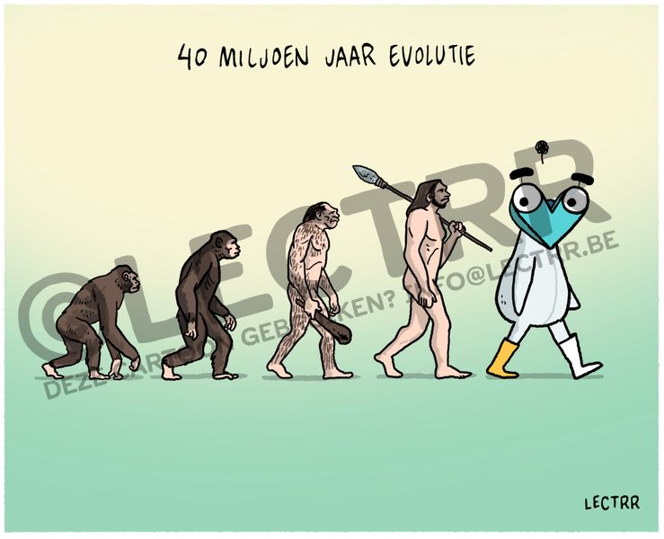 Evolutie