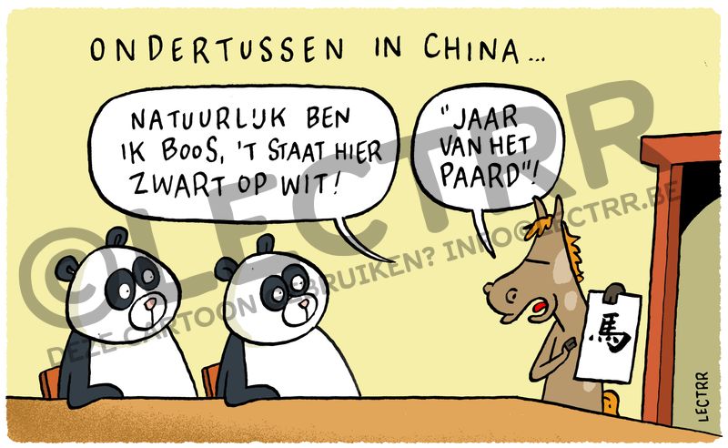 Jaar van het Paard