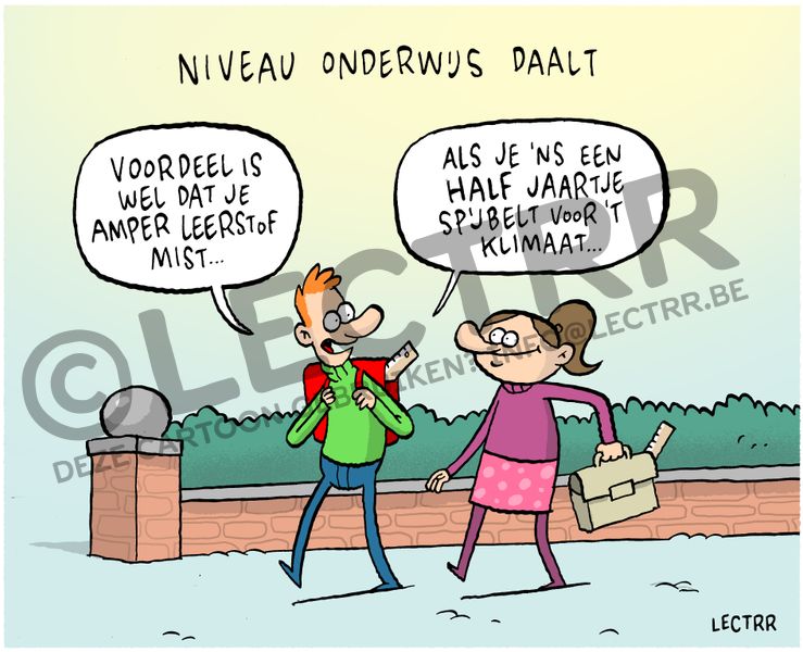 Niveau onderwijs