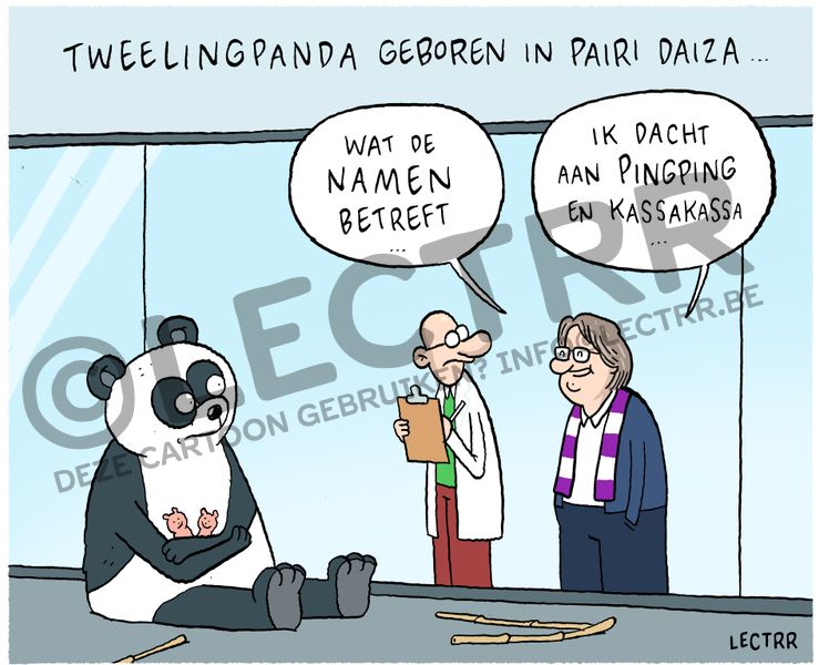 Tweelingpanda