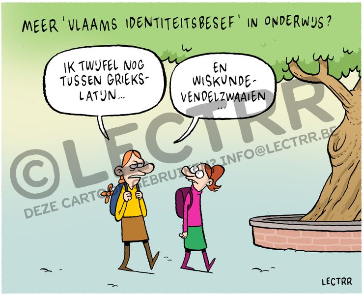 Vlaams identiteitsbesef