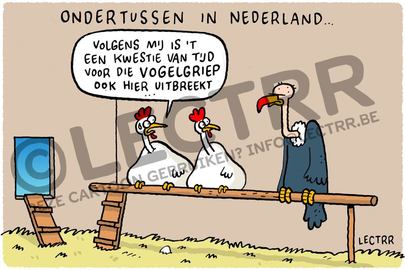 Vogelgriep Nederland