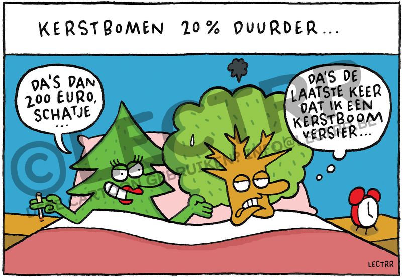 Kerstboom