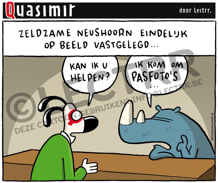 Neushoorn