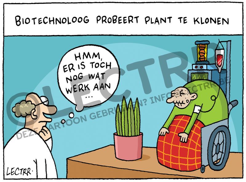 Planten Klonen