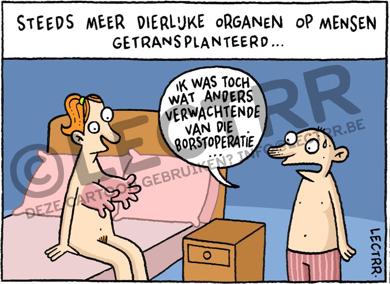 Borsttransplantatie