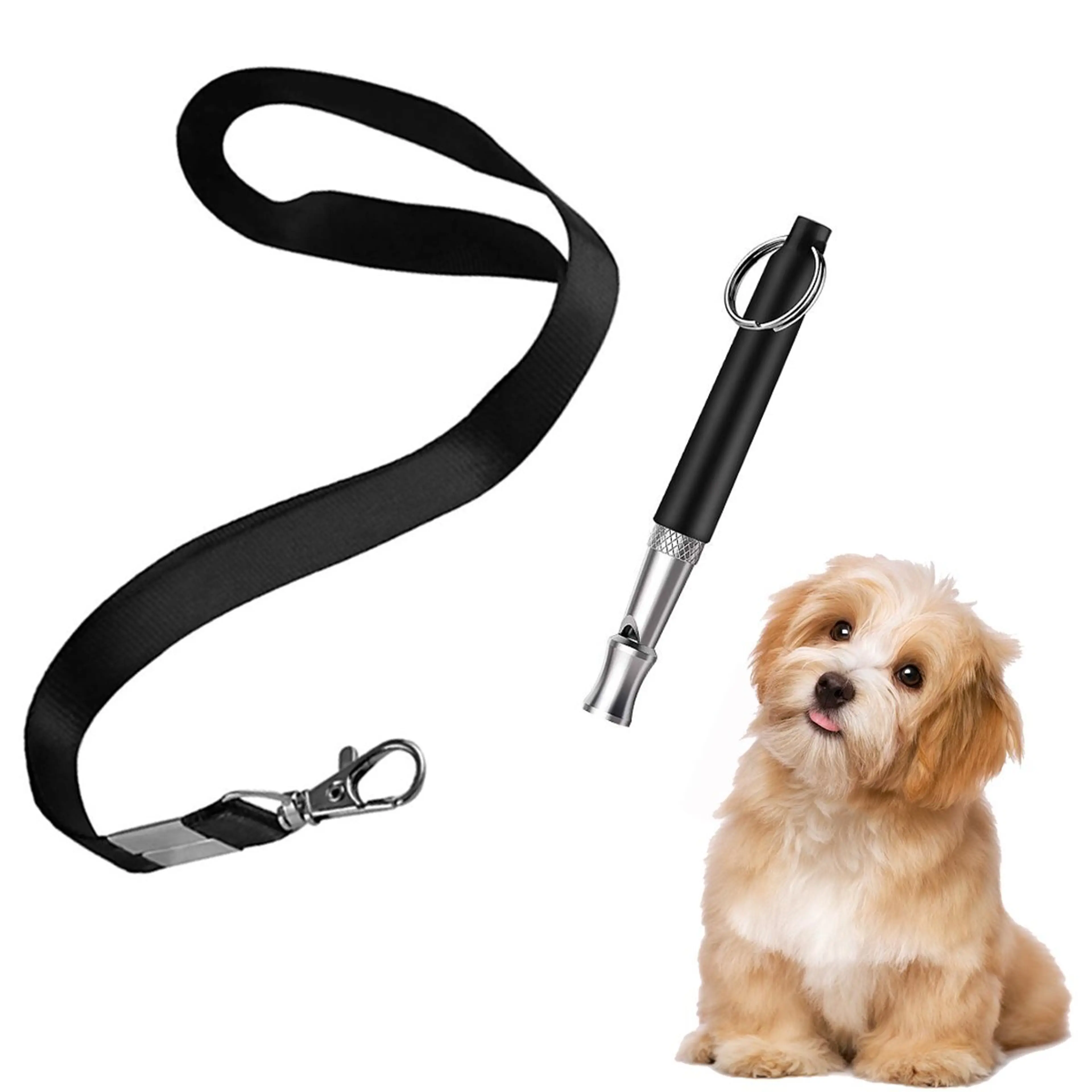 Professional Pet Training Dog Whistle Ultrasonic Bark Control Lanyard