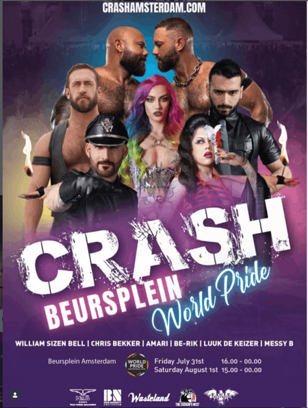 Cover image for Crash