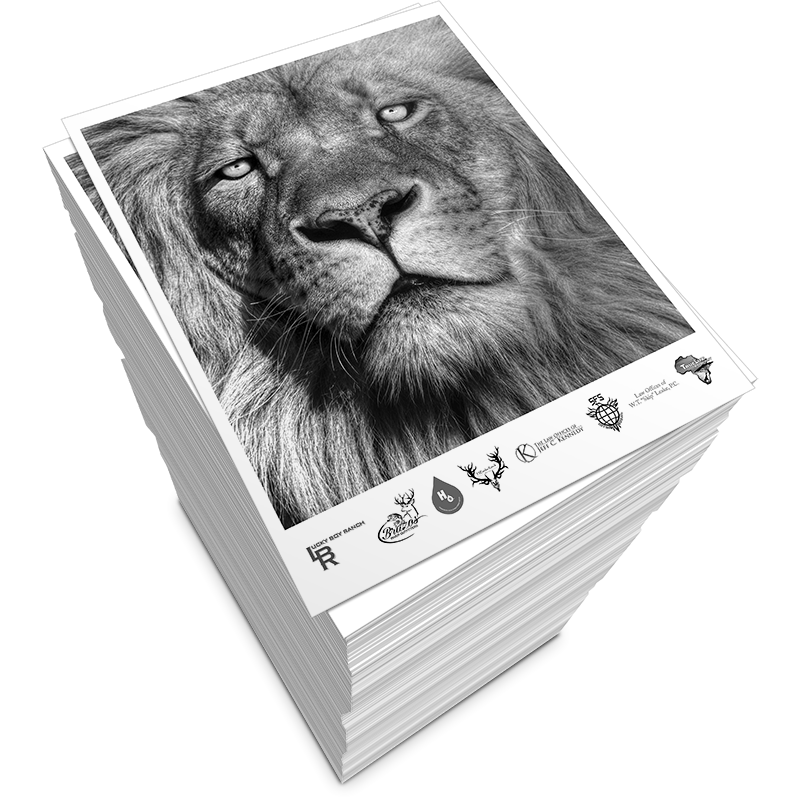 Copies - B&W detail 4